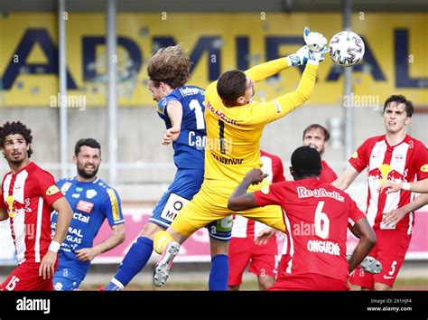 tsv hartberg vs red bull salzburg